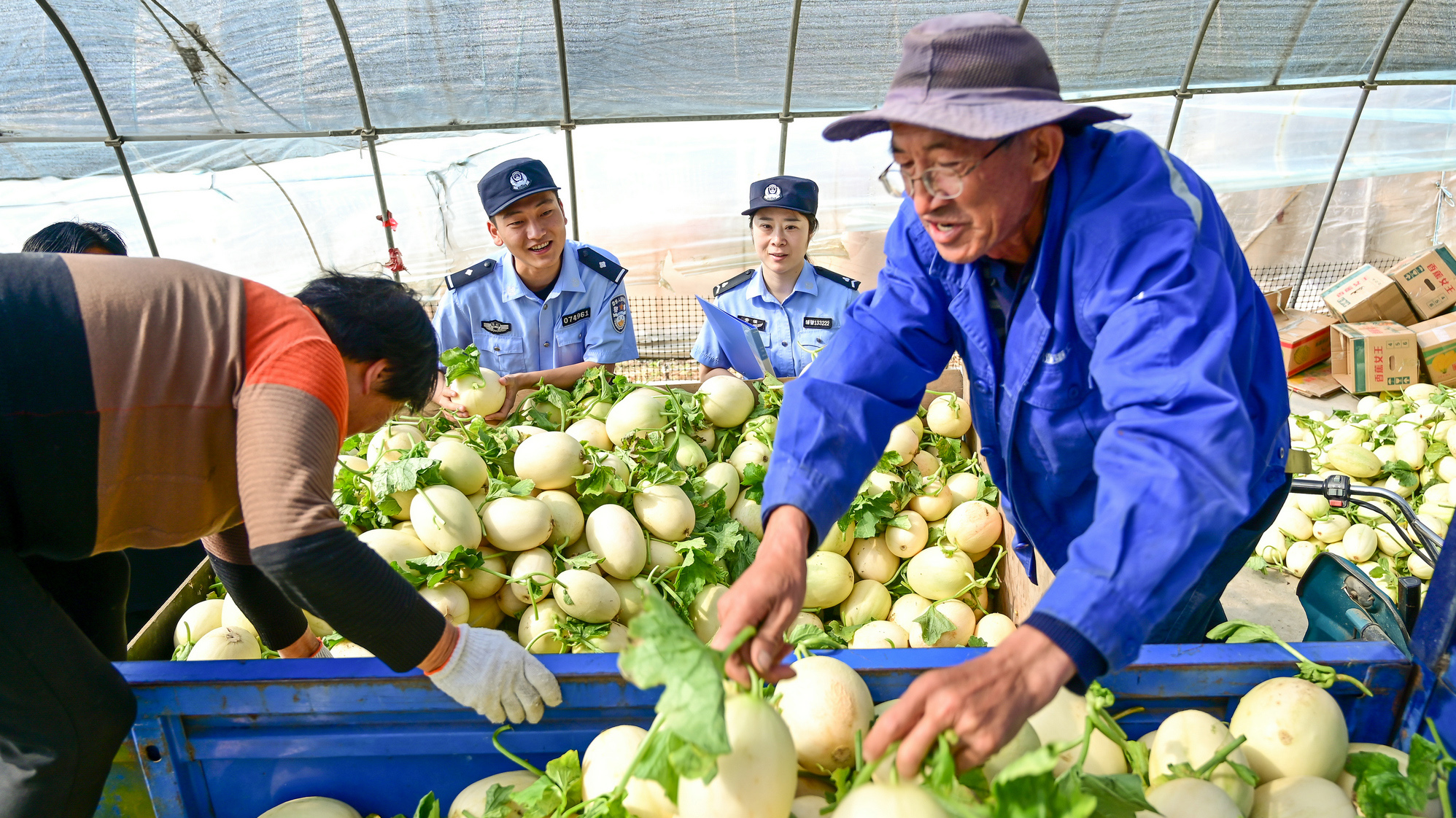 送安全进市场
