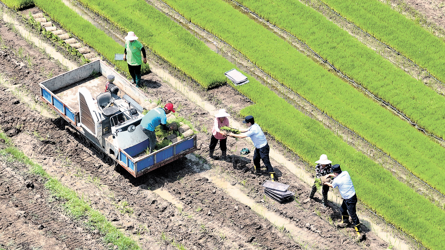 田間地頭話反詐